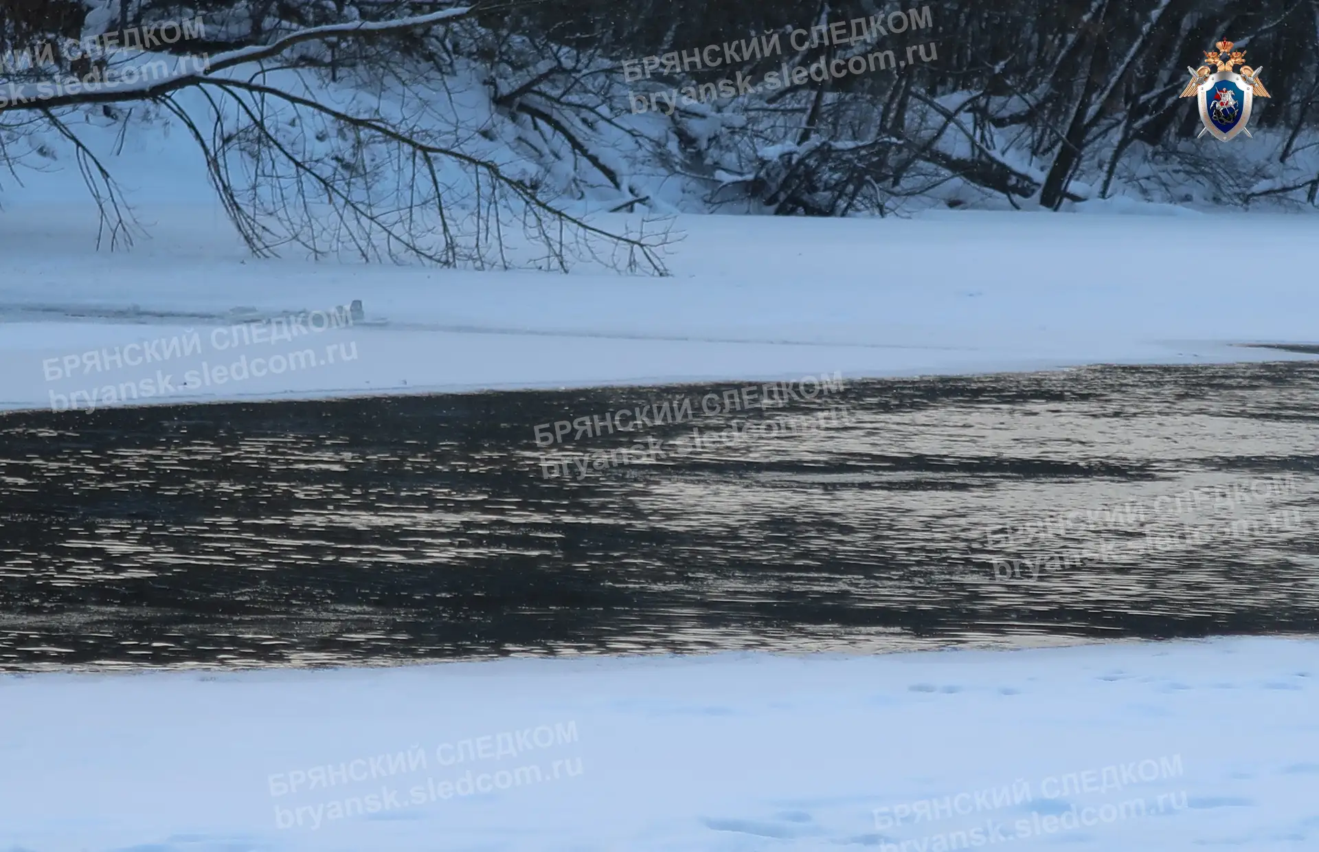 Следственные органы СК России по Брянской области сообщают об обстоятельствах гибели жительницы города Брянска