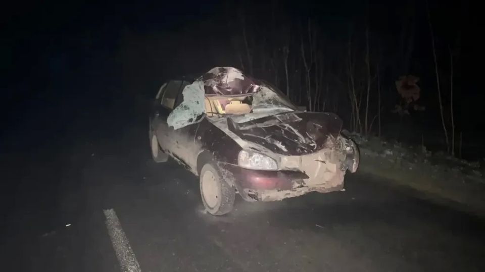 �������-������������ ������������ ��������� 12 ������ � ������� ������ � 20:45