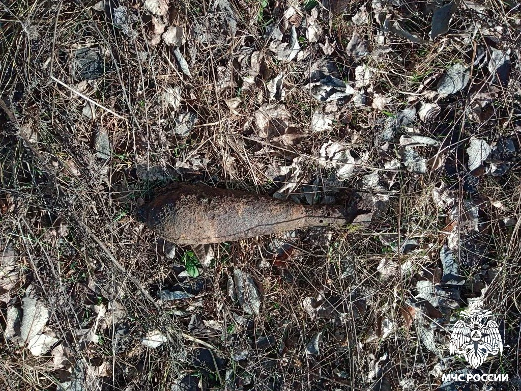 В Брянском районе обезврежен взрывоопасный предмет времён ВОВ