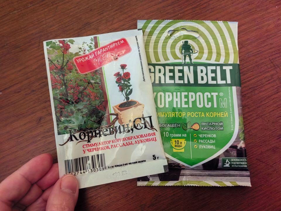 ������� ����������: ��� ��������� ������������ �������� ��� ���������� ������