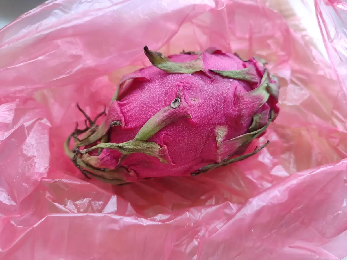 Заморский фрукт дарит вдохновение: салат и смузи из драконьей груши