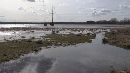 За сутки вода ушла с 20 участков жителей Брянска