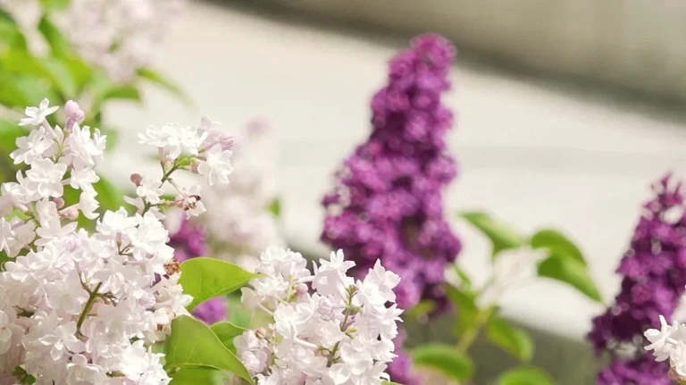 Был найден самый невыгодный месяц для отпуска в 2026 году