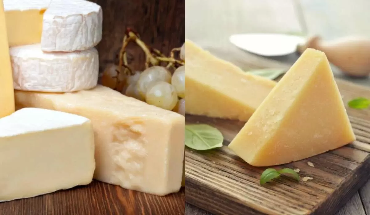 Как продлить свежесть сыра: полезные советы эксперта