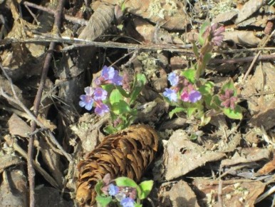 �������� �������: �������� ������ � ������