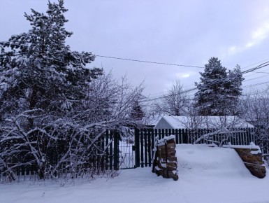 �� ���� � �������: ��� � ������ ��������