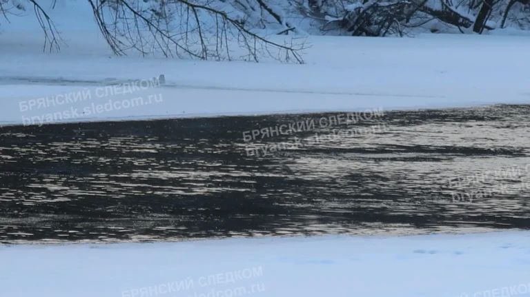 � ������� ������ ��������� ������� � ����������� ���� ��������� �������