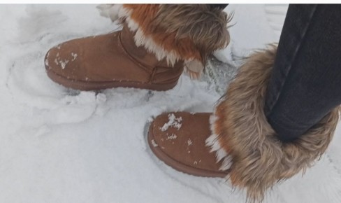 ��� ������� ����� ���������� �� ��������� ����: ��� ����������� ������