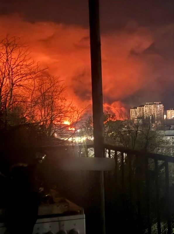 ���� ����: ���� ��� ����� ���������� 207 ���������� ���� ��� 7 ���������� ��: