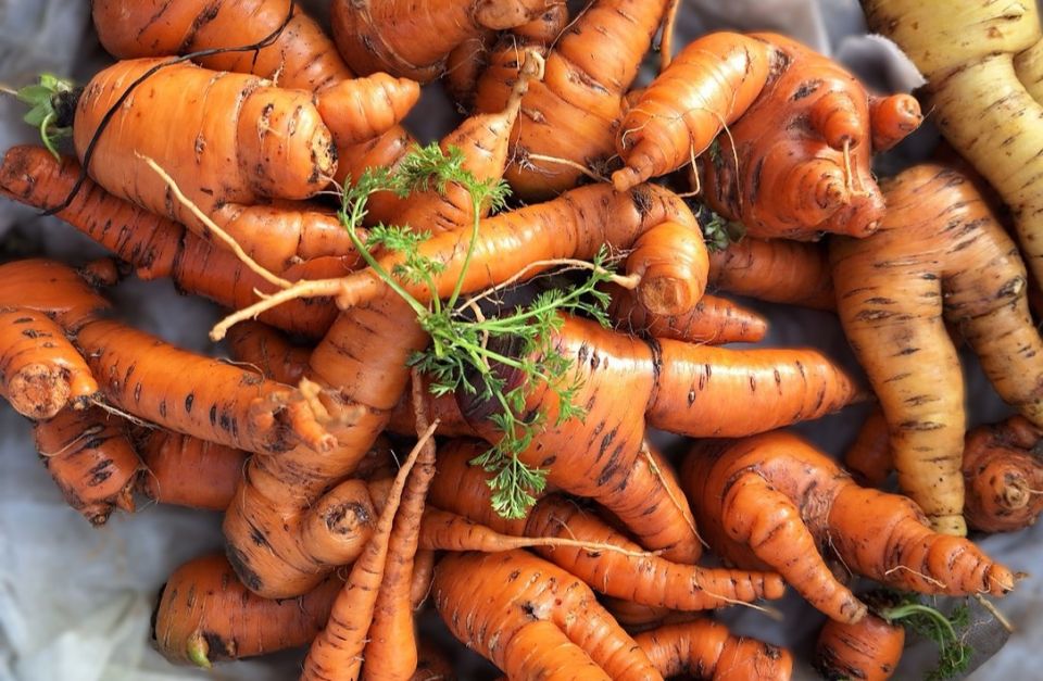 ������ ������� ��������� �������: �������� ������� � ������ �� �����������