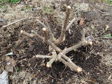 ��� ��������� �������� ���������, ����� �������� �������