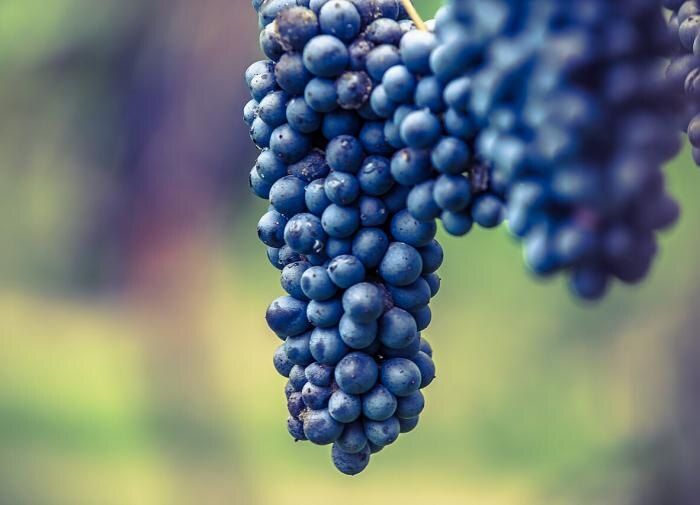 ��� �������� ��������: ������ �� ���������� � ����