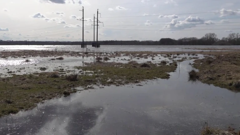 За сутки от воды освободились семь участков в Брянске
