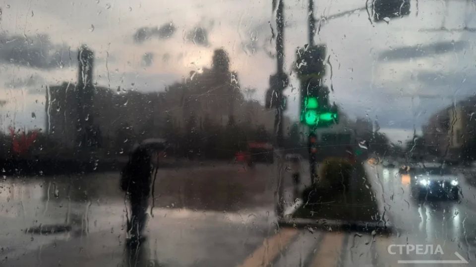 ������, 17 ������, �� ���������� �������� ������� ����� ������� � ������������