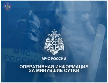 В Брянской области за минувшие сутки: