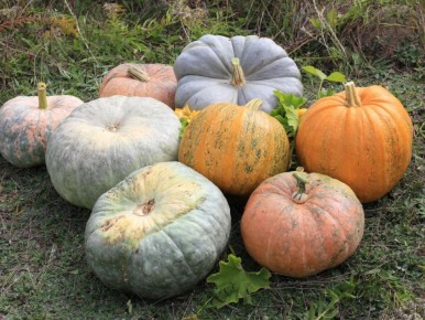 ����� � �������: ������� ��������� ��� �������� ������