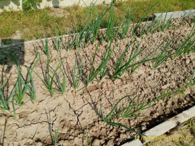 �������� ��������� ��� ���� � �������: ������� ���������