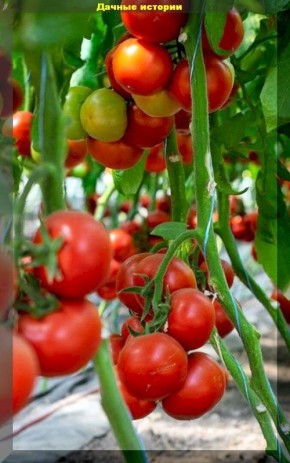 ������� �������� ������: ��������� ������ ��� �������, � ������� ����� ������