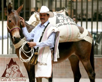 ����� �������� �������� ��������: �� ����� ������ �� ���-�������