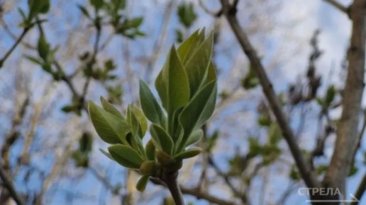 ������, 18 ������, �� ���������� �������� ������� ��������� �������� ������