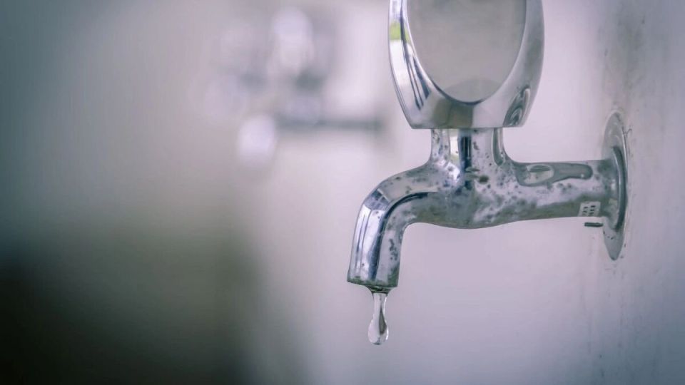 ����������� ����� �� ����������: ������� ������ ��� ��������