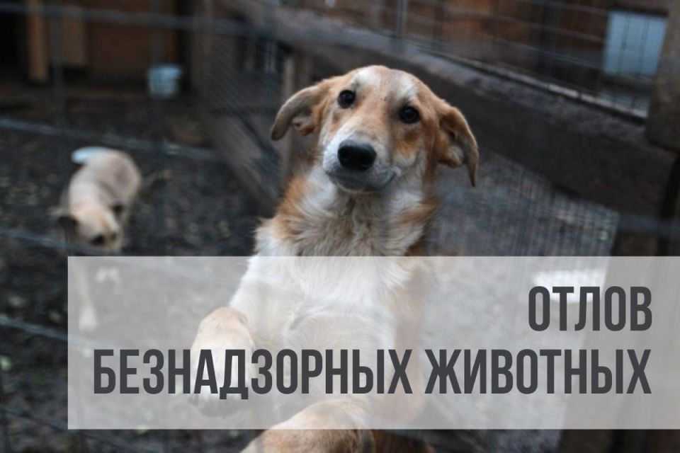 ��������� ������ ������������� �������������� ������!