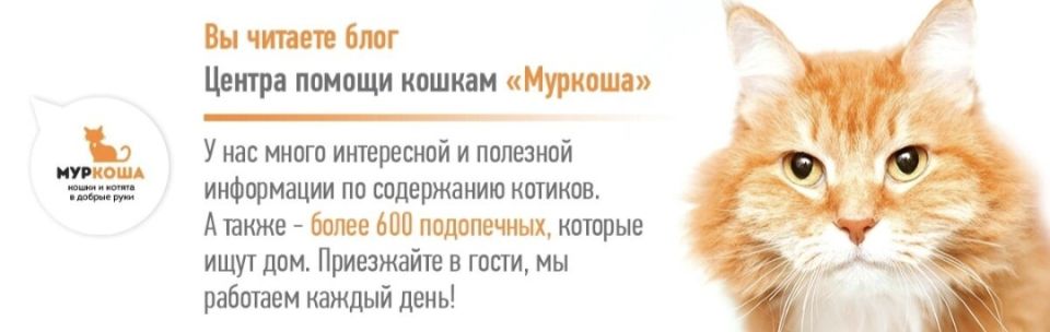 �����, ������� ������ ������ ������� �������� �� �����