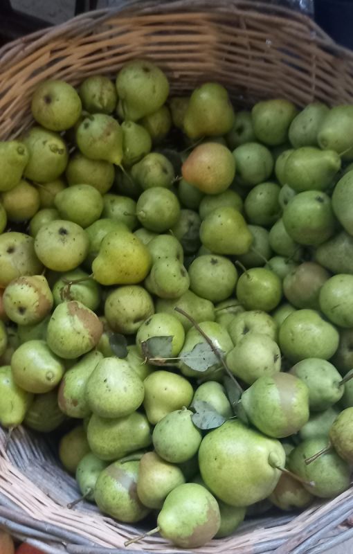 ��� ������� ������ ������ �����: ������� ��������� � ����� ����