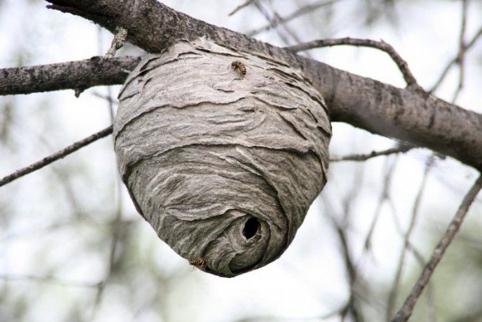 ��� ��������� ������� ������ ������: ����������� ��� ��������