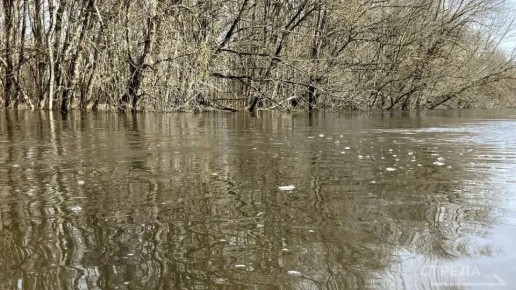 � ����������� ������ �������� ������� ����������� �������� 31 ������������ �������