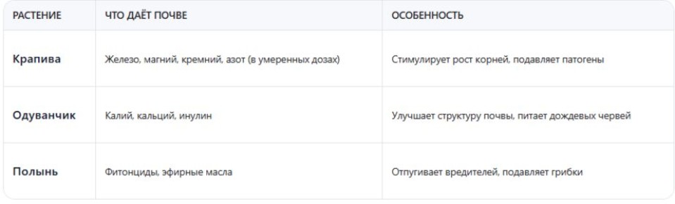 ������� ������������ ����������: ��� ������������ �������, ��������� � ������ ��� ��������� �����