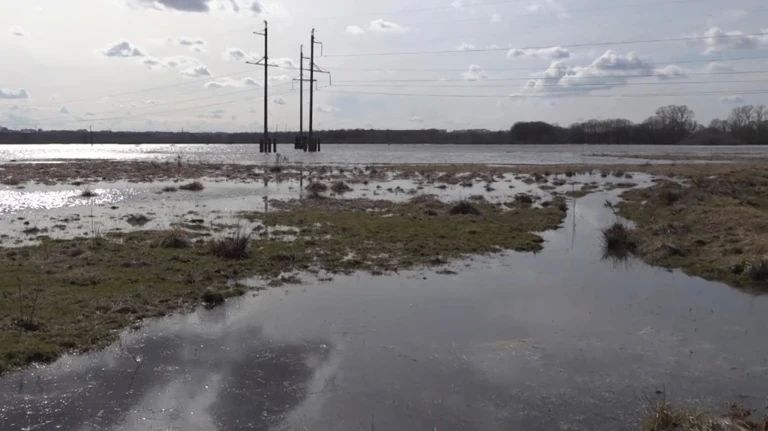 � ����������� ������ �������� ������������� ����� 30 ������������ ��������