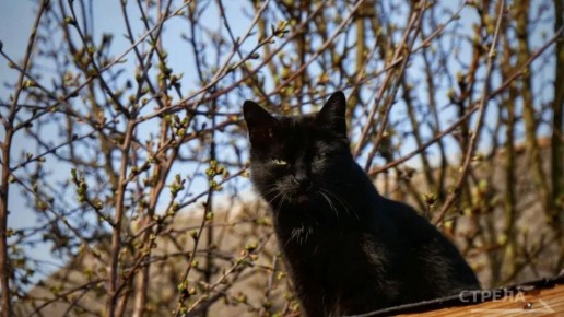 ������, 22 ������, �� ���������� �������� ������� ��������� �������� ������