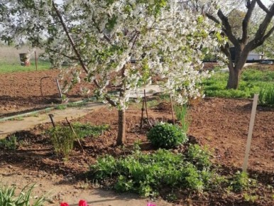 ������� ������ �� ����: ��������� ��� ����� ��� �����?