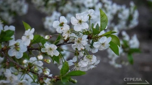 ������, 23 ������, �� ���������� �������� ������� ��������� �������� ������