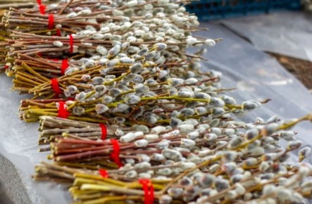 �������� � �������� �� ������� �����������: ��� ����������� �� ����������� ����