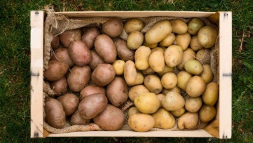 ����� �� ������� ��������� ����� ����� ������ �������� � 2026 ����