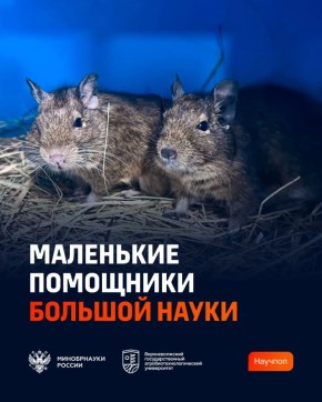 24 ������ ���������� ��������� ���� ������ ������������ ��������