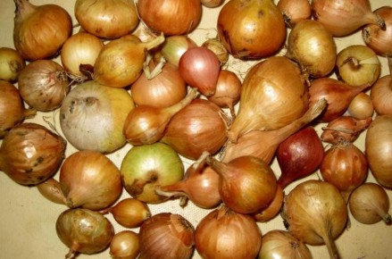 ��� �������� ������������ ����: ����������� ������