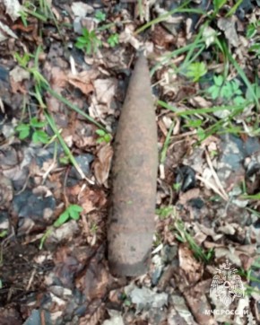 ������ �� ���������� ������� ����������� ������������� �������� ����� ���