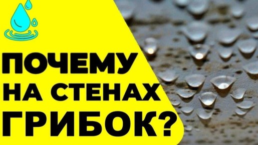 ������ � ������� � ������������: ��� ���������� � ����������