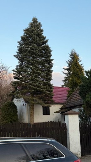 �����: �������� �� ������ ������� � ����� ������� �����