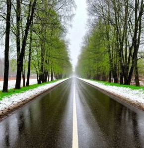 �� ������ ��������� ��������������, 29 ������ �� ���������� �������� ������� ������� � ������������