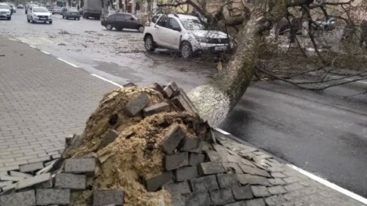 ��� �������� ����������� �� ������������ ������� ������