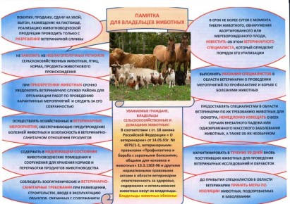 �������� ������� ������� ������������ (���������) ������������ ��������, ������ � �� ���������� (� ��� ����� ������������ �������������������� ��������) � ������� ����������� ������������ �������� � �������������...