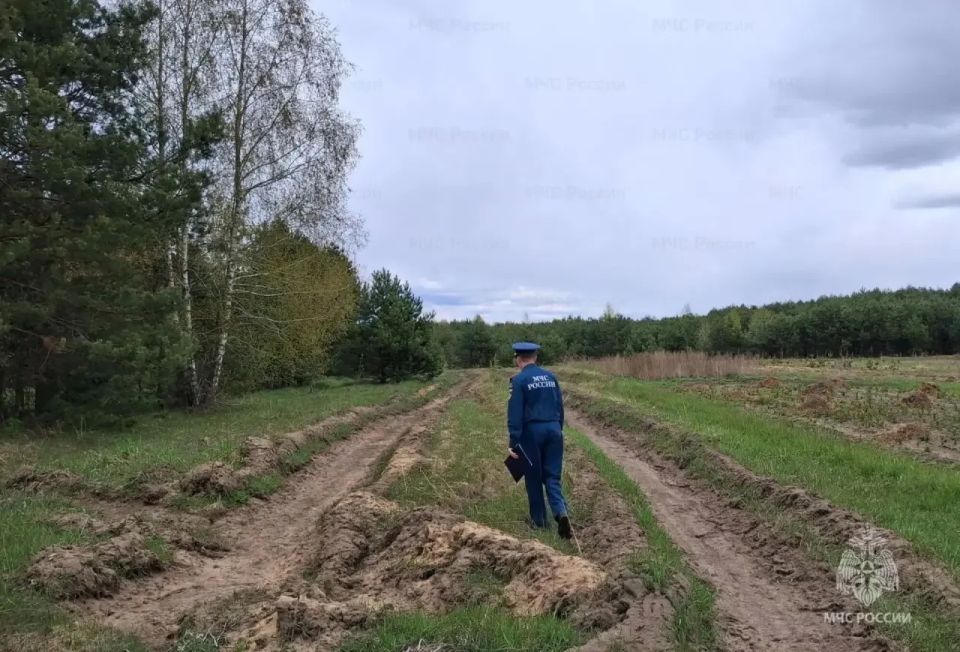 �������� ���������������� ����������� �� ����������� �������� ������������ ��������� ������� ������������ ������ � ������������� ������