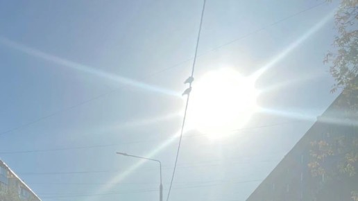 � ������� ������� ������� ��������� �� ������ ��������� �� +30
