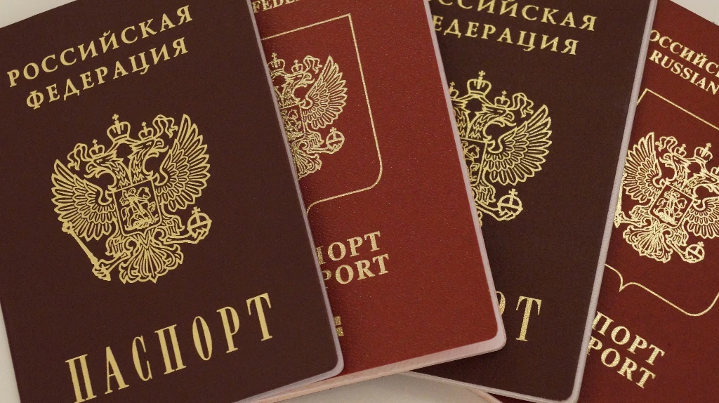 Клинчанка схлопотала срок за помощь в нелегальном въезде мигрантов из Сирии