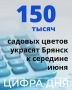 #Цифра_дня
