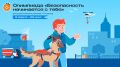 «Безопасность начинается с тебя»: прими участие во Всероссийской онлайн-олимпиаде